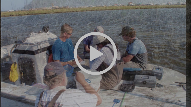 RFP IV Update: Coastal Waters Consortium II (Rabalais)
